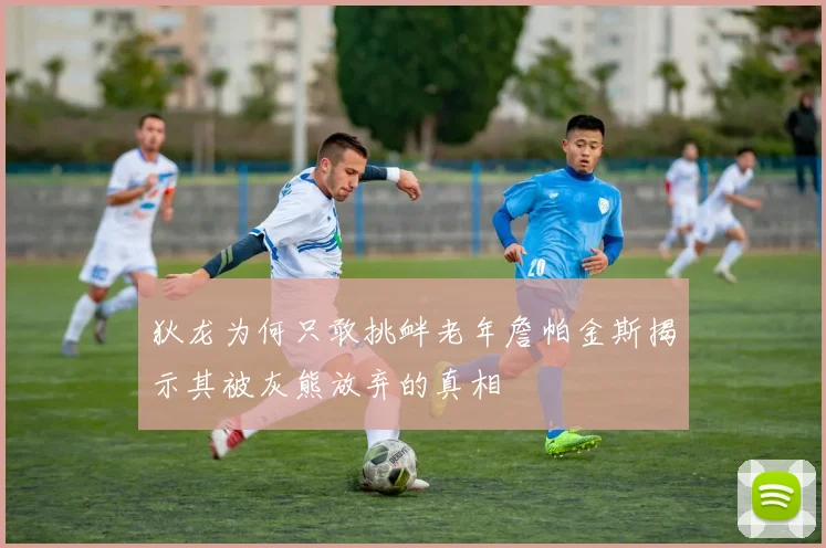 狄龙为何只敢挑衅老年詹帕金斯揭示其被灰熊放弃的真相