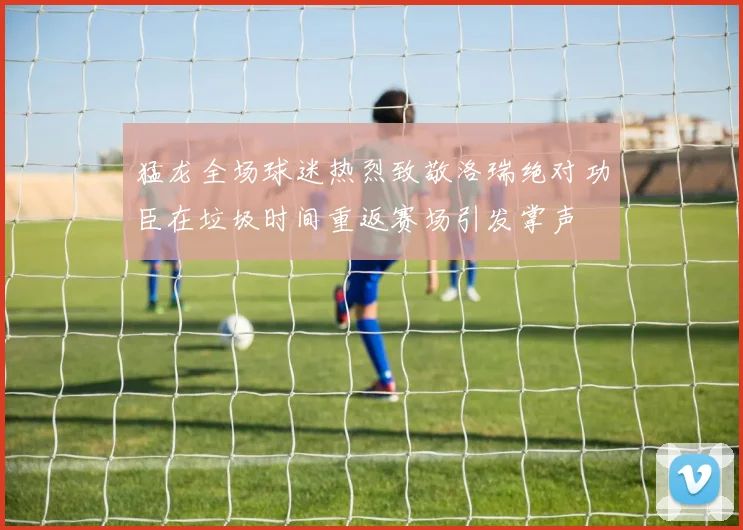 猛龙全场球迷热烈致敬洛瑞绝对功臣在垃圾时间重返赛场引发掌声