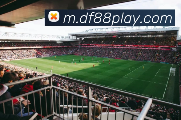 App Interface Preview