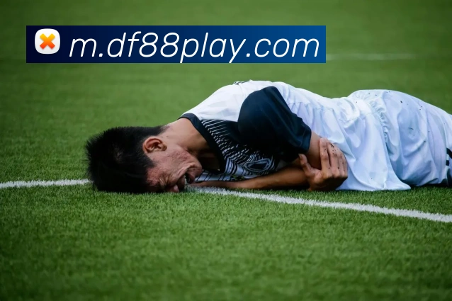 大发彩票APP 封面图